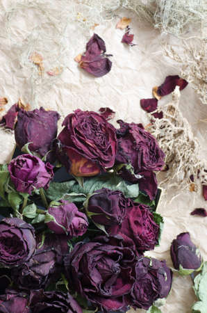 composition of dried rose flowersの写真素材