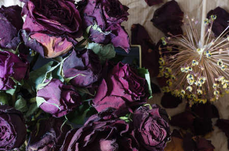 composition of dried rose flowersの写真素材