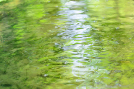 blurred flowing water in forest creekの写真素材