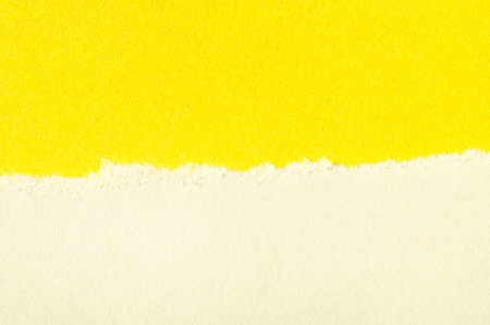 blank torn pieces of paperの写真素材