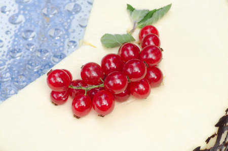 homemade cake with currant berriesの写真素材