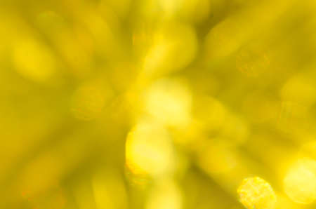 defocused yellow color lights backgroundの写真素材