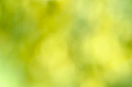 defocused nature green background textureの写真素材