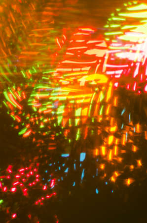 closeup to blurred Cristmas tree twig