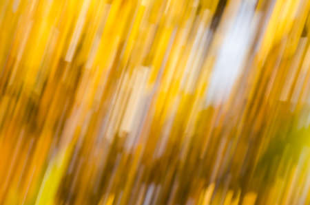 motion blur defocused fall backgroundの写真素材
