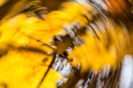 motion blur defocused fall backgroundの写真素材