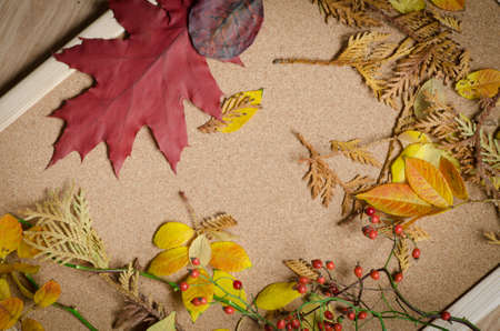 Closeup to autumn leaves decorationの写真素材
