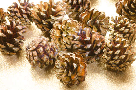 golden painted pine cones on brilliant background