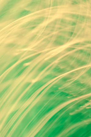 green motion blurred lights backgroundの写真素材