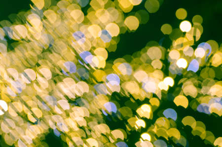 holiday abstract lights background textureの写真素材