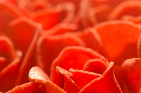 red soap roses macro selective focusの写真素材