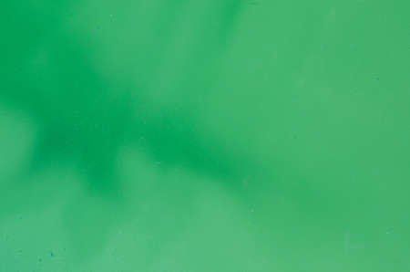 green watercolor painted background textureの写真素材