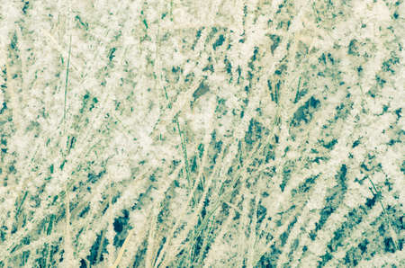 harfrost on grass winter background