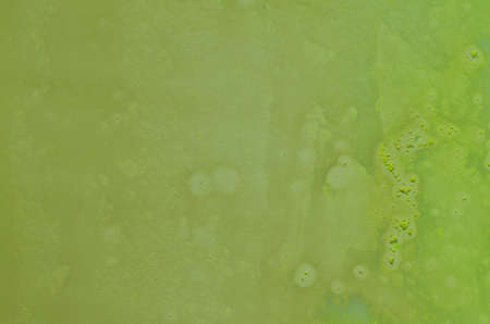 abstract green painted background textureの写真素材