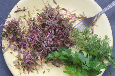 closeup to fresh young amaranth leaves and herbs