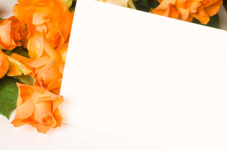 orange rose rose with blank cardの写真素材