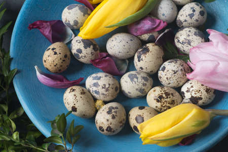 group of quail eggsの写真素材