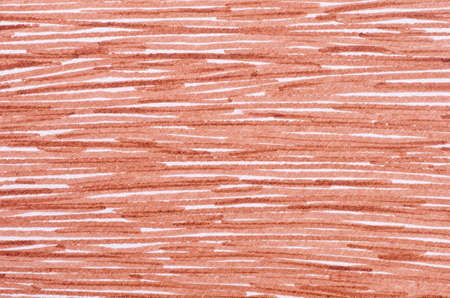 brown  marker doodles on white paper backgroundの写真素材