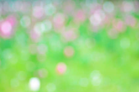 nature multicolored blurred background textureの写真素材