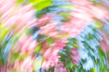 defocused blurred spring nature background