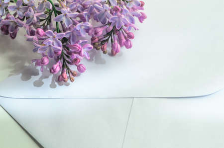 closeup to twig with lilac flowersの写真素材