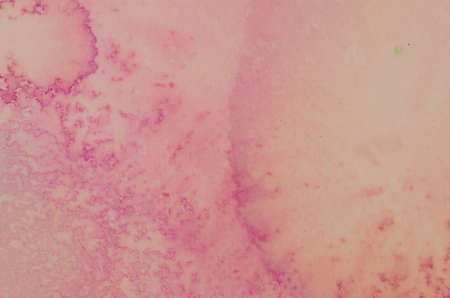 orange watercolor painted background textureの写真素材