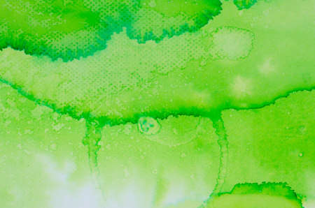 green watercolor painted on paper backround textureの写真素材