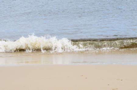 sea wave on sand beach