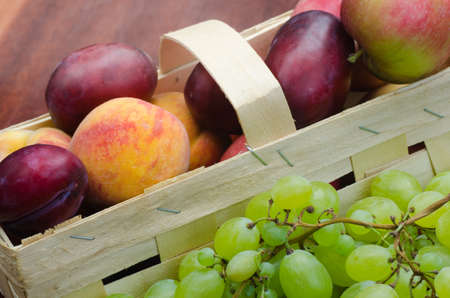 Fruits and berriesの写真素材