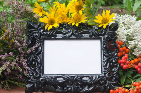 fall composition with flowers and rowan berriesの写真素材