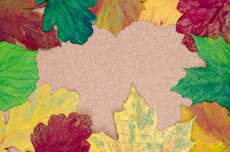 multicolored painted fall leaves composition