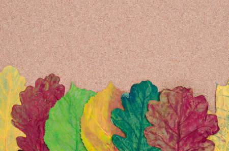 multicolored painted fall leaves compositionの写真素材