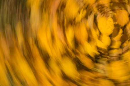 blurred motion fall colors backgroundの写真素材