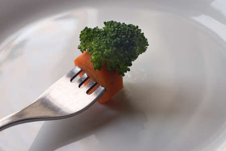piece of broccoli on fork on white plateの写真素材