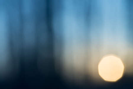 blurred bare trees silhouettes against sunset skyの写真素材