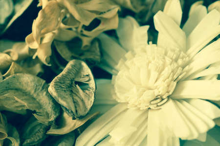 potpourri dried scented  plants and flowers