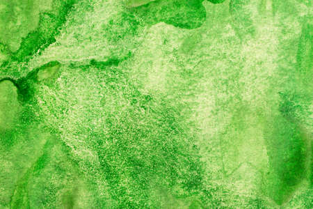 green watercolor painted on paper backgroundの写真素材