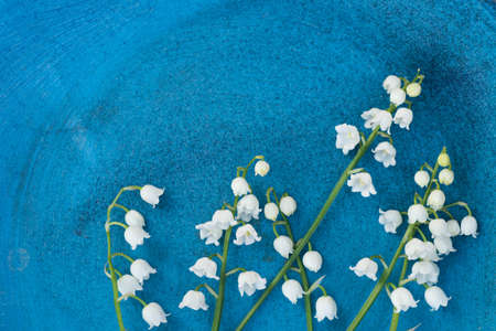 closeup to lily of the valley flowersの写真素材