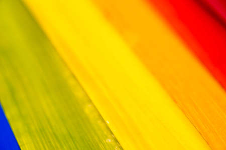 Group of multicolored painted paper sheetsの写真素材