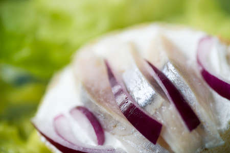 healthy small open sandwich with herring and onionselective focus macroの写真素材