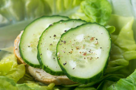 healthy small open sandwich with cucumber selective focus macroの写真素材