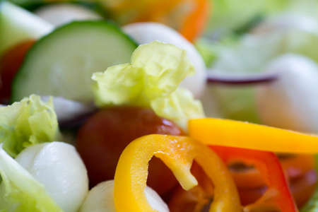 closeup to fresh lettuce salad selective focusの写真素材