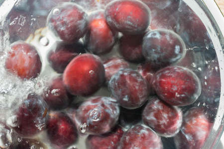 closeup to washing plum fruitsの写真素材