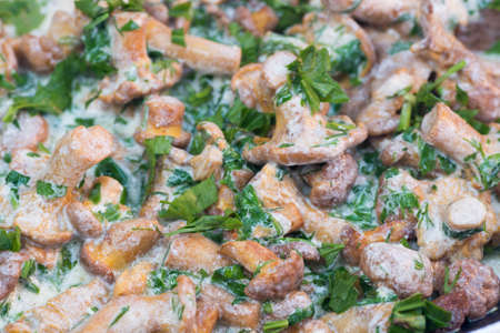 chantarelle mushroom sauce with parsleyの写真素材