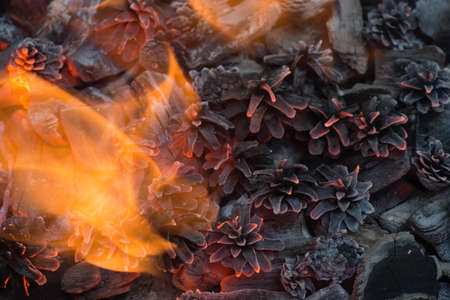 closeup to burning camp fire