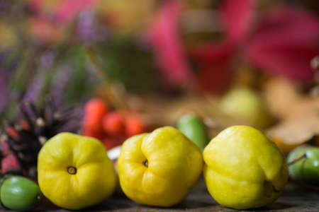 arrangement with fall fruits on blurred backgroundの写真素材