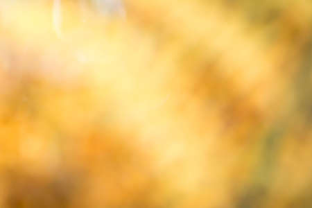 golden color  blurred background texture