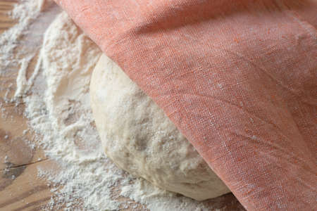 fresh raw ball on wooden table