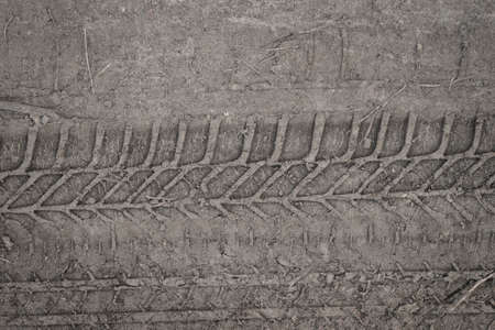 tyre track on  mud background textureの写真素材