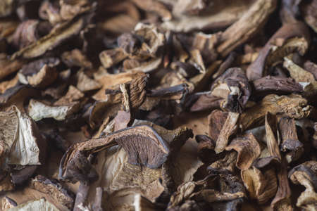 group of dried mushrooms macroの写真素材